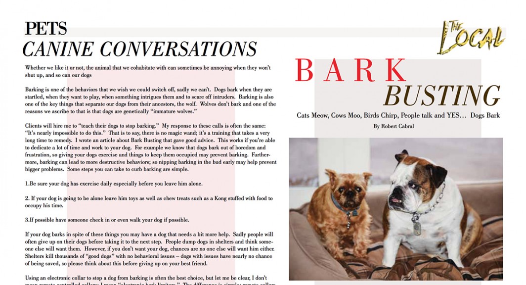 Bark busting, getting your dog to control his barking