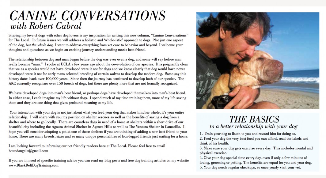 Robert Cabral the Malibu Dog Trainer intro article