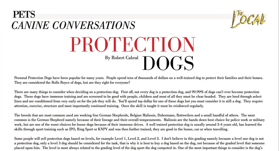 Protection dogs article in the LOCAL Malibu
