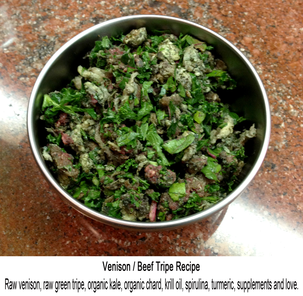 venison & beef tripe Black Belt Dog Training